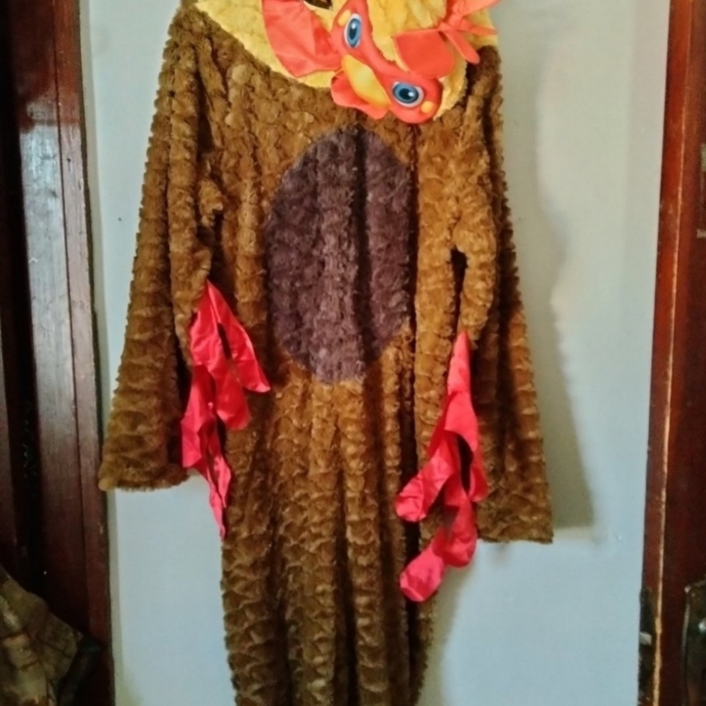 Chicken Costume